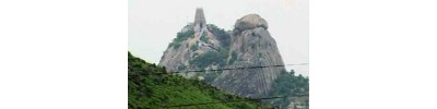 64. திருக்கடிகை (ஷோளிங்கர்)